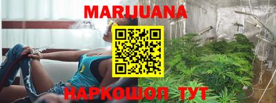 индика Краснознаменск